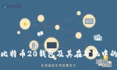 探究比特币20钱包及其在矿池中的应用