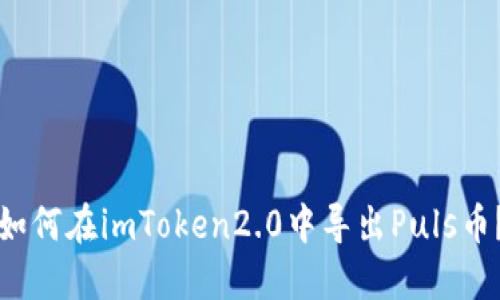 如何在imToken2.0中导出Puls币？