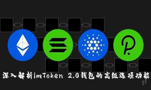 深入解析imToken 2.0钱包的高级选项功能