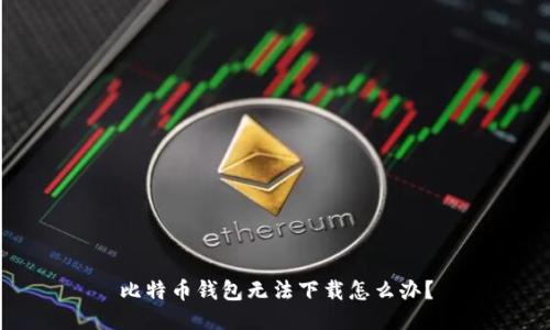 比特币钱包无法下载怎么办？
