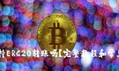 IM钱包支持ERC20转账吗？完整教程和常见问题解答