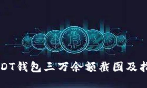 USDT钱包三万余额截图及指南