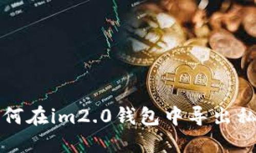 如何在im2.0钱包中导出私钥