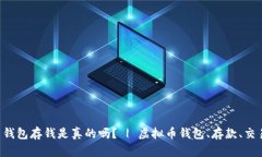 虚拟币钱包存钱是真的吗？ | 虚拟币钱包、存款