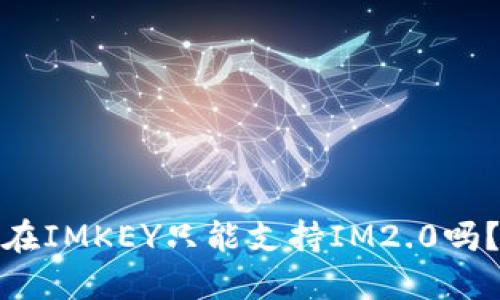 在IMKEY只能支持IM2.0吗？