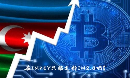 在IMKEY只能支持IM2.0吗？