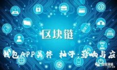 比特币钱包APP关停 柚子：影响与应对策略