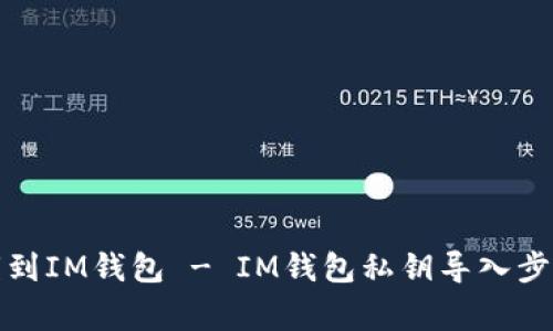 教你如何导入私钥到IM钱包 - IM钱包私钥导入步骤及常见问题解答