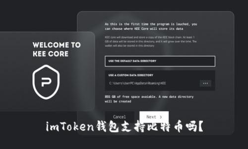 imToken钱包支持比特币吗?
