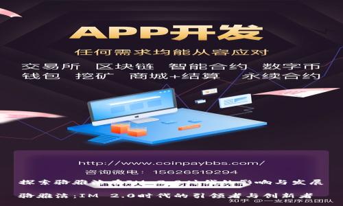 探索骆雅洁在IM 2.0时代的影响与发展

骆雅洁：IM 2.0时代的引领者与创新者