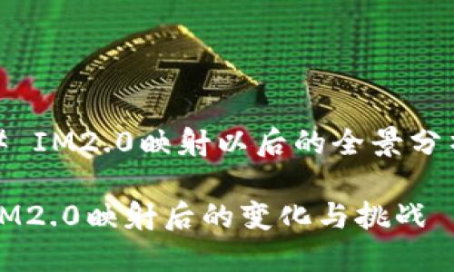 # IM2.0映射以后的全景分析

IM2.0映射后的变化与挑战