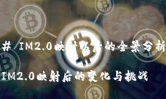 # IM2.0映射以后的全景分析IM2.0映射后的变化与挑