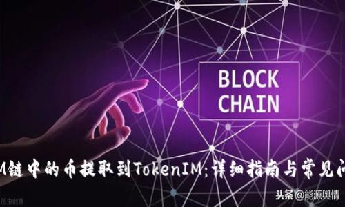 如何将M链中的币提取到TokenIM：详细指南与常见问题解答