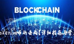 如何查询Tokenim币的去向？详细指南与常见问题解