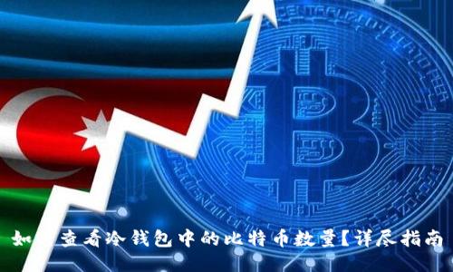 如何查看冷钱包中的比特币数量？详尽指南