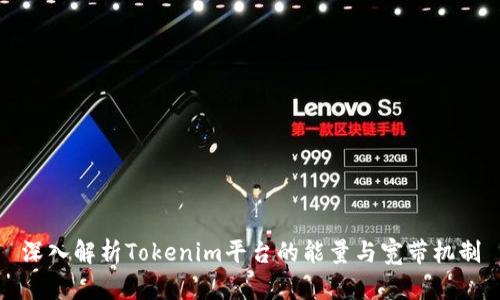 深入解析Tokenim平台的能量与宽带机制