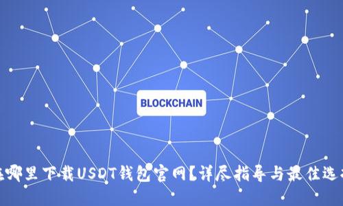 在哪里下载USDT钱包官网？详尽指导与最佳选择