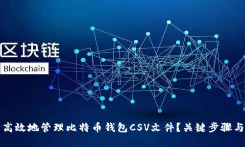 如何安全高效地管理比特币钱包CSV文件？关键步骤与实用技巧