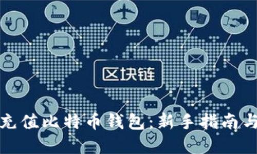 如何高效充值比特币钱包：新手指南与实用技巧