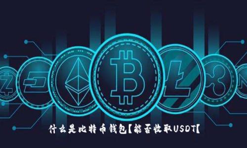 什么是比特币钱包？能否收取USDT？