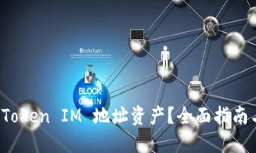 如何查询 Token IM 地址资产？全面指南与实用技巧