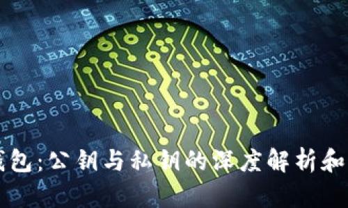 区块链钱包：公钥与私钥的深度解析和实用指南