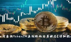 如何查询TokenIM未到账的交易状态？详细指南