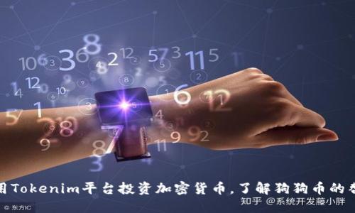 如何使用Tokenim平台投资加密货币，了解狗狗币的替代选择