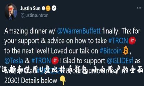 如何选择和使用U盘比特币钱包：小白用户的全面指南