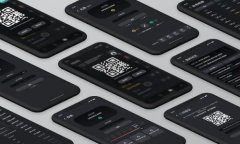 biao ti/biao ti比特币钱包安全性分析及如何防止遗