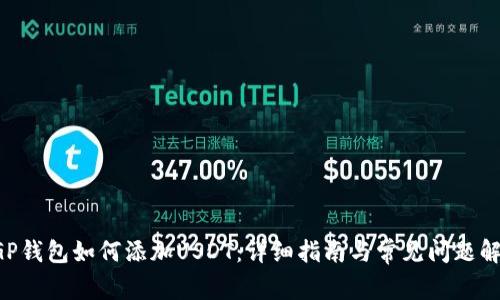 CGP钱包如何添加USDT：详细指南与常见问题解答