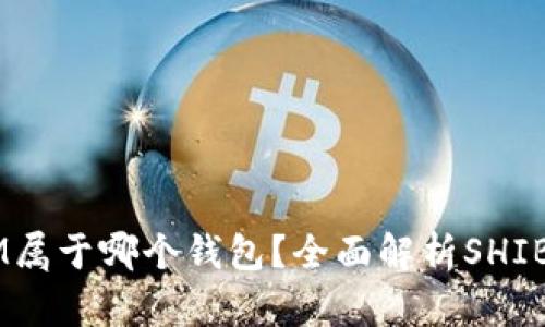 SHIB币提到IM属于哪个钱包？全面解析SHIB及其钱包选择