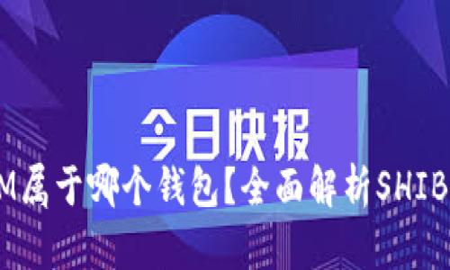 SHIB币提到IM属于哪个钱包？全面解析SHIB及其钱包选择