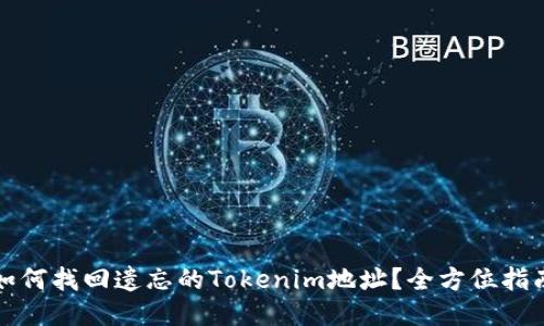 如何找回遗忘的Tokenim地址？全方位指南