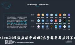 TokenIM被盗后能否找回？完整解析与应对策略