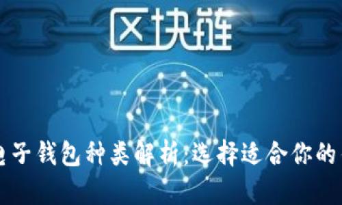 比特币电子钱包种类解析：选择适合你的钱包类型