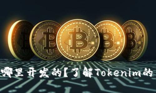 Tokenim是哪里开发的？了解Tokenim的背景和起源