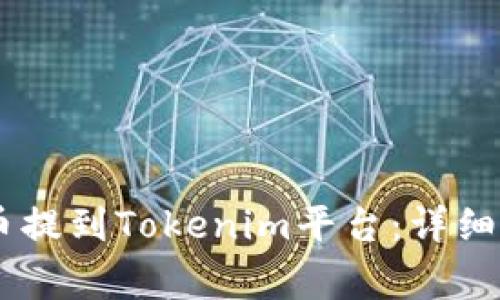 如何将SHIB代币提到Tokenim平台：详细步骤与注意事项