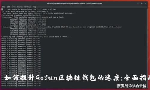 : 如何提升Gofun区块链钱包的速度：全面指南