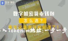 如何导入Tokenim地址：一步一步的指南