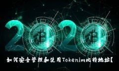 如何安全管理和使用Tokenim比特地址？