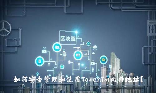 如何安全管理和使用Tokenim比特地址？