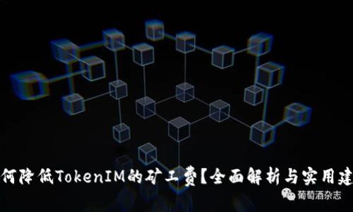 如何降低TokenIM的矿工费？全面解析与实用建议