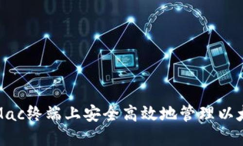 如何在Mac终端上安全高效地管理以太坊钱包