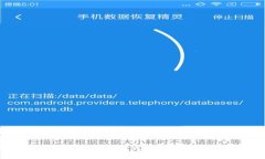 如何使用以太坊Web钱包导入文件：详细指南与常