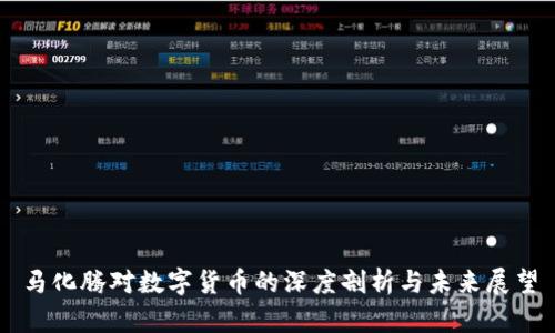 马化腾对数字货币的深度剖析与未来展望