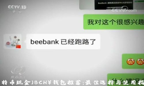 
比特币现金（BCH）钱包推荐：最佳选择与使用指南