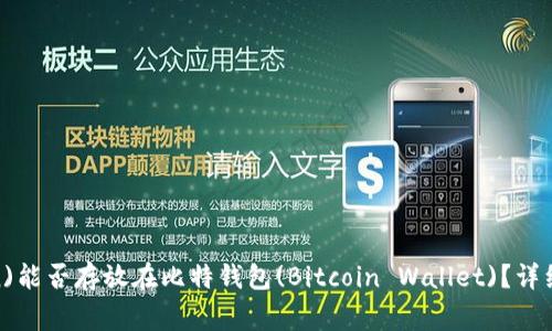 狗狗币(Dogecoin)能否存放在比特钱包(Bitcoin Wallet)？详细解答与使用指南