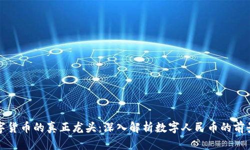 中国数字货币的真正龙头：深入解析数字人民币的前景与影响