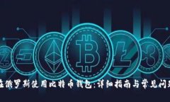 如何在俄罗斯使用比特币钱包：详细指南与常见